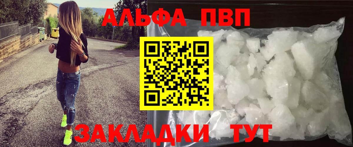 Alfa_PVP СК Грозный