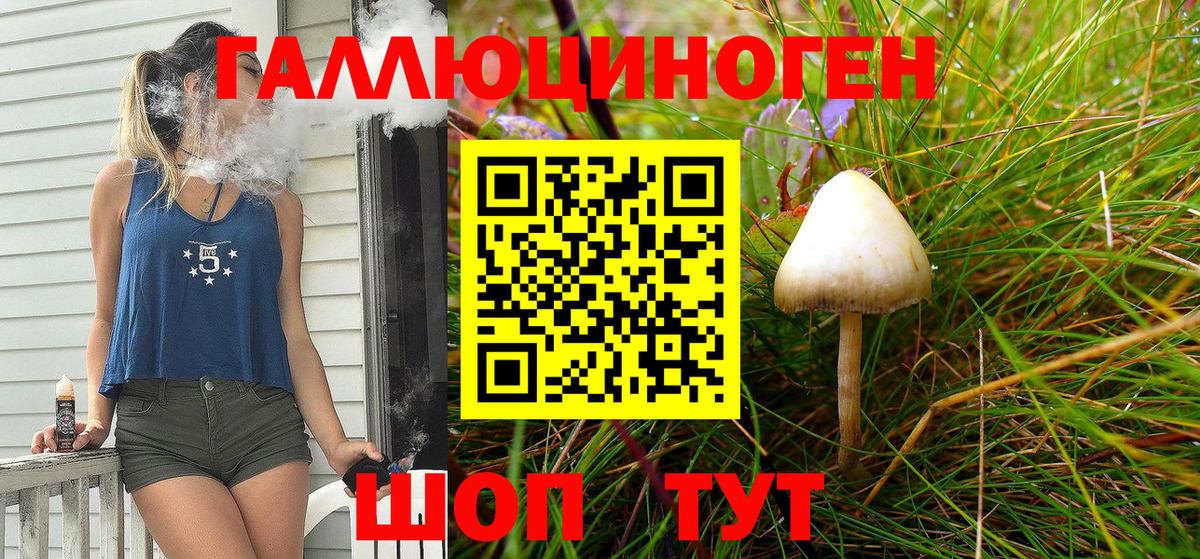 Галлюциногенные грибы Psilocybine cubensis  Галлюциногенные грибы ЛСД  Грозный  Вход с VPN 